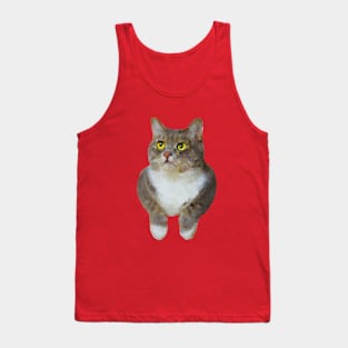 Funny cat with two arms painting Tank Top